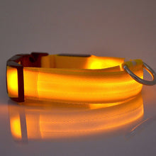 Load image into Gallery viewer, LED Glow In The Dark Cat Collar - Yellow Glow - JBCoolCats