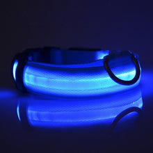 Load image into Gallery viewer, LED Glow In The Dark Cat Collar - Blue Glow- JBCoolCats
