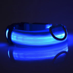 LED Glow In The Dark Cat Collar - Blue Glow- JBCoolCats