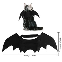 Load image into Gallery viewer, Halloween Bat Wings Costume - Size - JBCoolCats