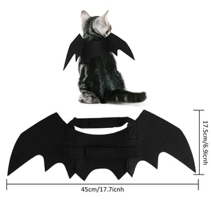 Halloween Bat Wings Costume - Size - JBCoolCats