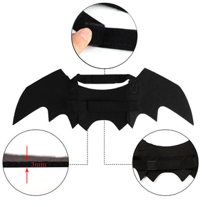 Halloween Bat Wings Costume - Features - JBCoolCats