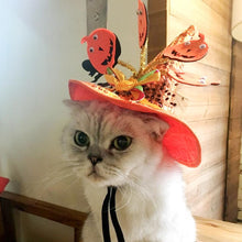 Load image into Gallery viewer, Funny Cat Halloween Hats - Orange Pumpkin on Cat - JBCoolCats