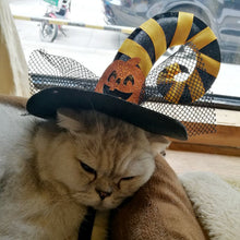 Load image into Gallery viewer, Funny Cat Halloween Hats - Wizard on Cat- JBCoolCats