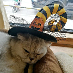Funny Cat Halloween Hats - Wizard on Cat- JBCoolCats