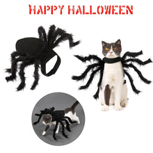 Load image into Gallery viewer, Halloween Spider Cat Costume - Costume- JBCoolCats