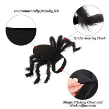 Load image into Gallery viewer, Halloween Spider Cat Costume - Features - JBCoolCats