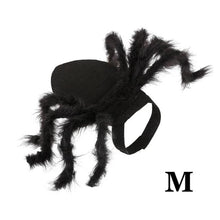Load image into Gallery viewer, Halloween Spider Cat Costume - Medium - JBCoolCats