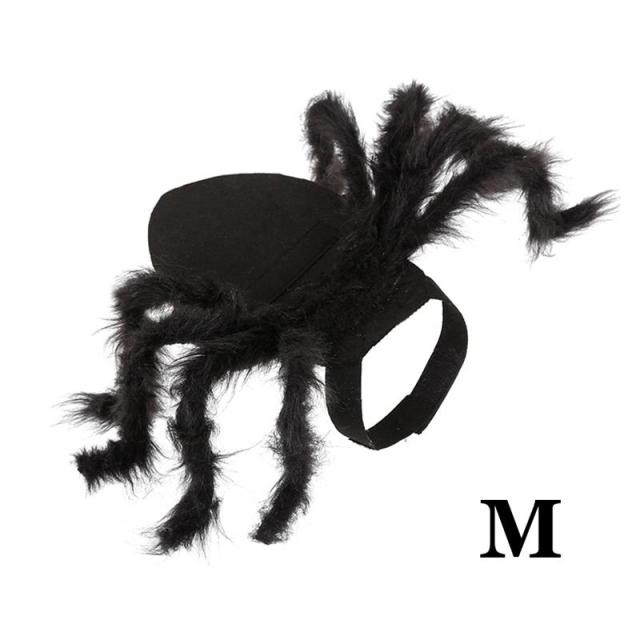Halloween Spider Cat Costume - Medium - JBCoolCats