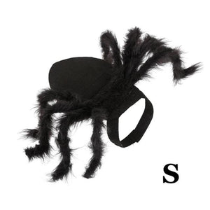 Halloween Spider Cat Costume - Small  - JBCoolCats