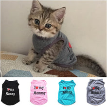 Load image into Gallery viewer, Show Their Love Cat Vest - Accessory - JBCoolCats