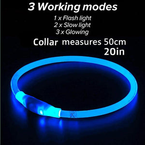 Thin LED Glow In The Dark Cat Collar - Flash Speeds - JBCoolCats