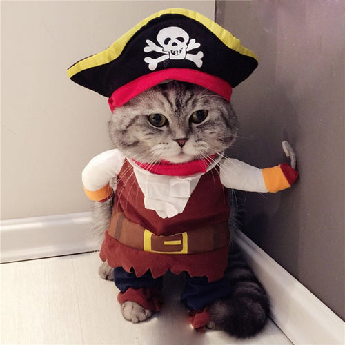 Funny Cat Pirate Suit - Halloween - JBCoolCats