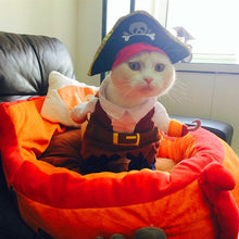 Load image into Gallery viewer, Funny Cat Pirate Suit - Costume  - JBCoolCats