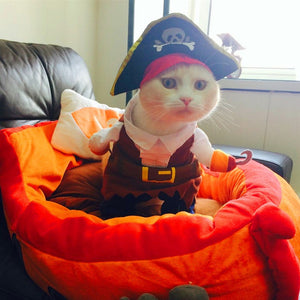 Funny Cat Pirate Suit - Costume  - JBCoolCats