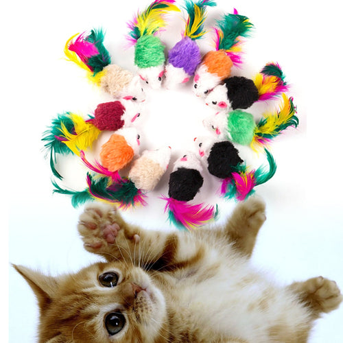 Interactive Mouse Cat Toys - Colors - JBCoolCats