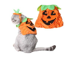 Load image into Gallery viewer, Halloween Pumpkin Hat &amp; Cape for Cats - Halloween - JBCoolCats