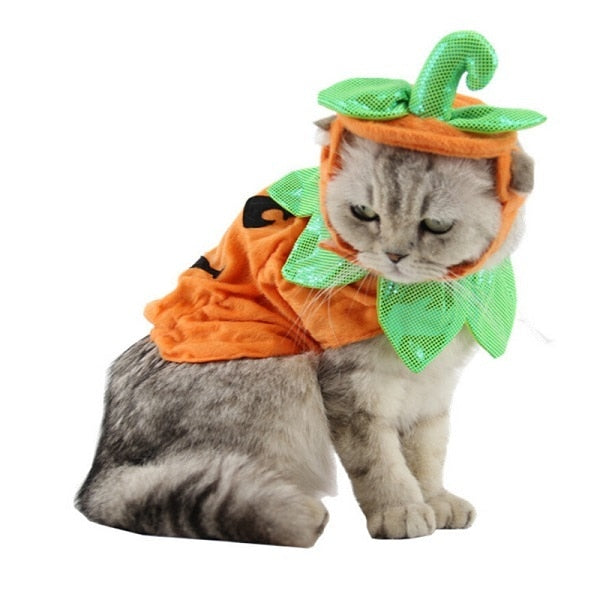 Halloween Pumpkin Hat & Cape for Cats - Side View - JBCoolCats