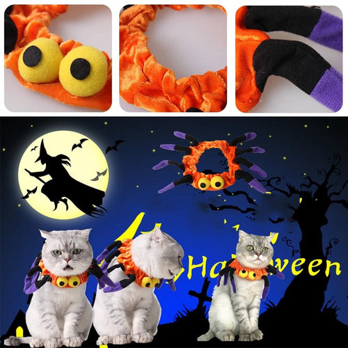 Spider Halloween Cat Collar - Halloween - JBCoolCats