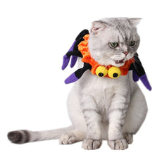 Load image into Gallery viewer, Halloween Spider Cat Collar - Halloween Costume - JBCoolCats