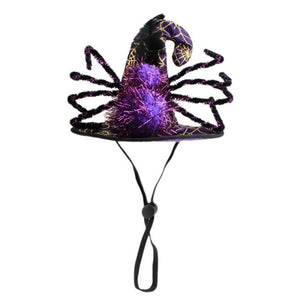 Funny Cat Halloween Hats - Purple Spider - JBCoolCats