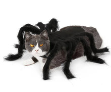 Load image into Gallery viewer, Halloween Spider Cat Costume - Halloween - JBCoolCats
